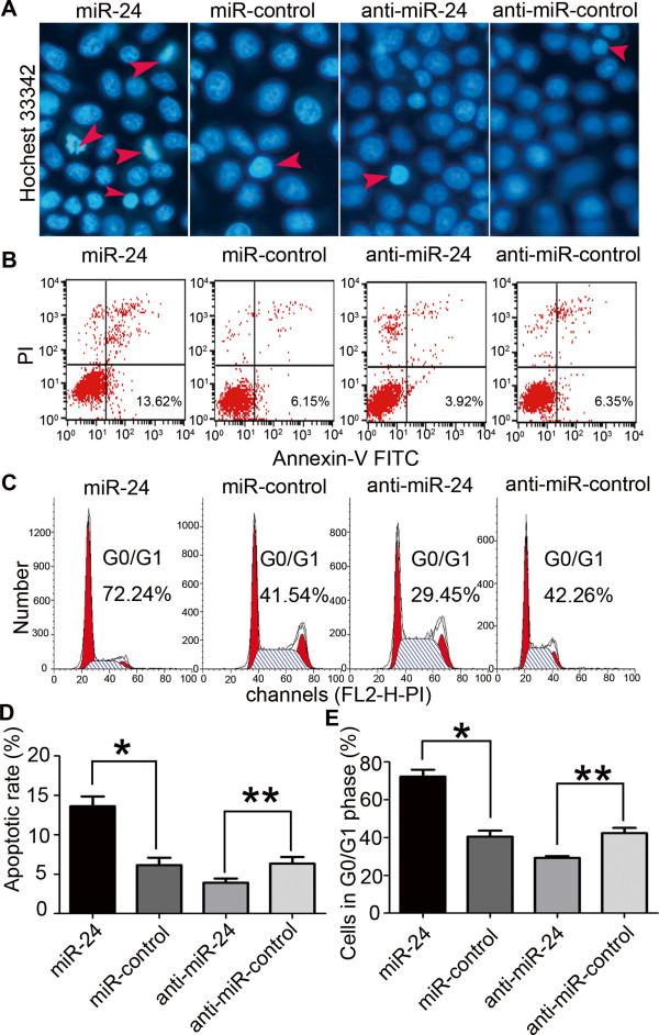 https://cdn.ncbi.nlm.nih.gov/pmc/blobs/6266/4041902/c05f616d5cf5/1476-4598-13-127-3.jpg