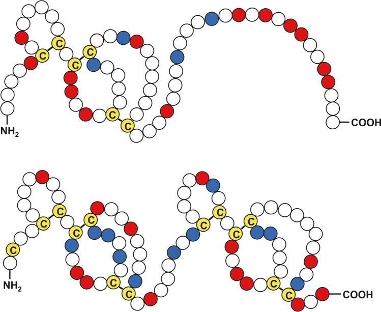 https://cdn.ncbi.nlm.nih.gov/pmc/blobs/6267/9464118/c41e8946fcb6/436_2022_7634_Fig2_HTML.jpg
