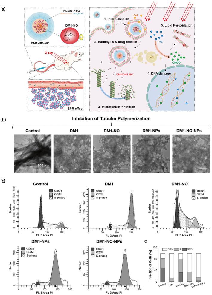 https://cdn.ncbi.nlm.nih.gov/pmc/blobs/6268/10189501/b567a2e59bbf/BTM2-8-e10498-g005.jpg