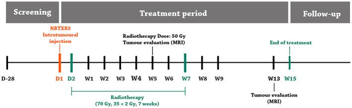 https://cdn.ncbi.nlm.nih.gov/pmc/blobs/6268/10189501/f5201a7c314b/BTM2-8-e10498-g001.jpg