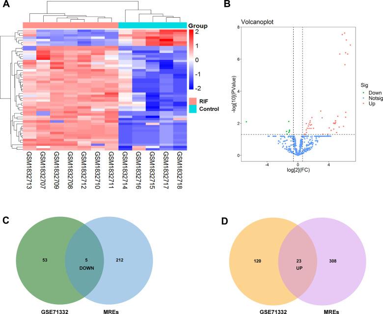 https://cdn.ncbi.nlm.nih.gov/pmc/blobs/626c/7950293/9f24b7da57ee/aging-13-202590-g003.jpg