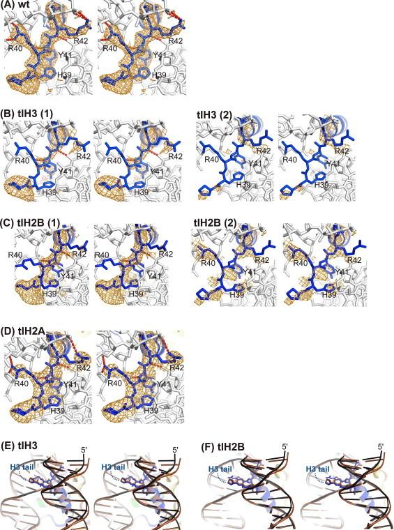https://cdn.ncbi.nlm.nih.gov/pmc/blobs/626f/3821030/80eae7863c0f/gr4.jpg