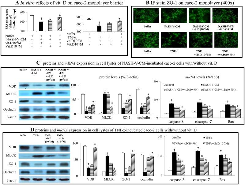 https://cdn.ncbi.nlm.nih.gov/pmc/blobs/626f/5912737/de3f3a78b474/pone.0194867.g005.jpg