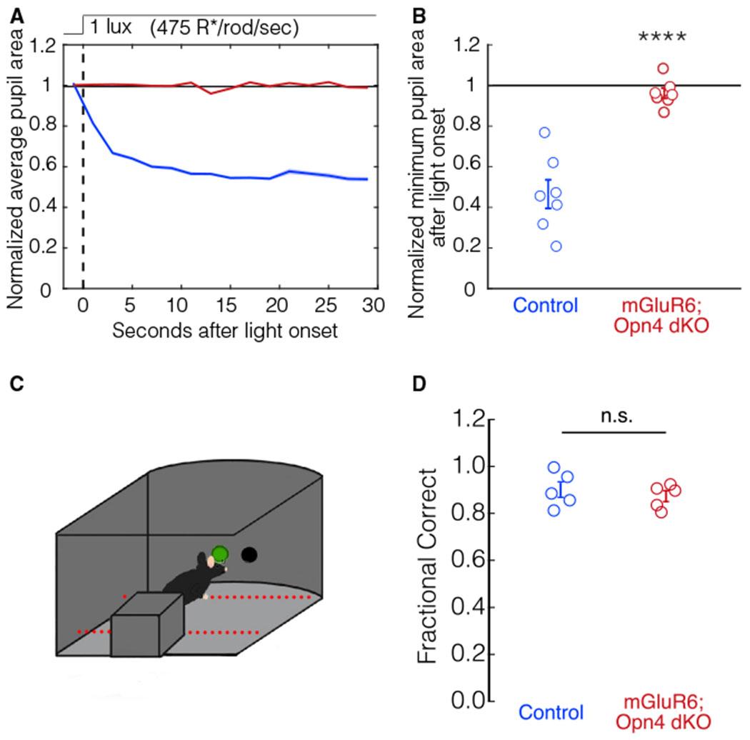 https://cdn.ncbi.nlm.nih.gov/pmc/blobs/626f/9400924/3577583bc42d/nihms-1821341-f0004.jpg