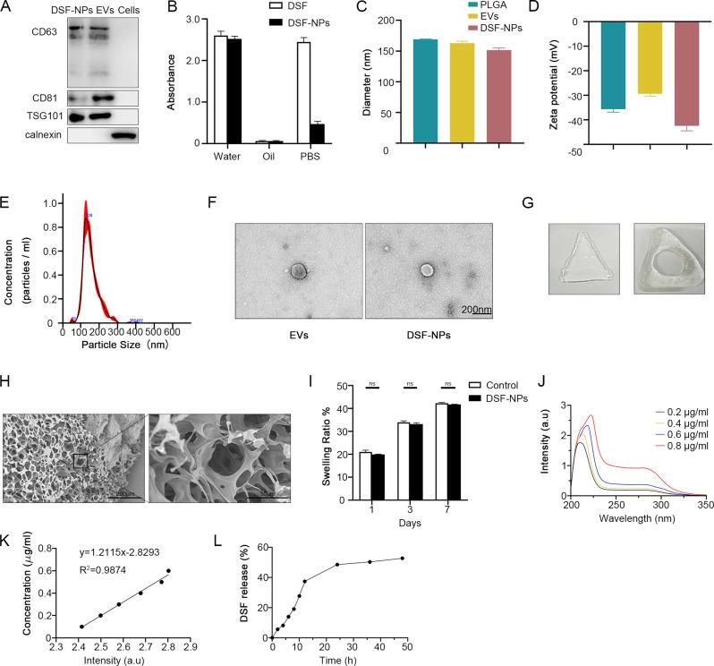 https://cdn.ncbi.nlm.nih.gov/pmc/blobs/6270/11600750/461ecd336cb9/12967_2024_5875_Fig1_HTML.jpg
