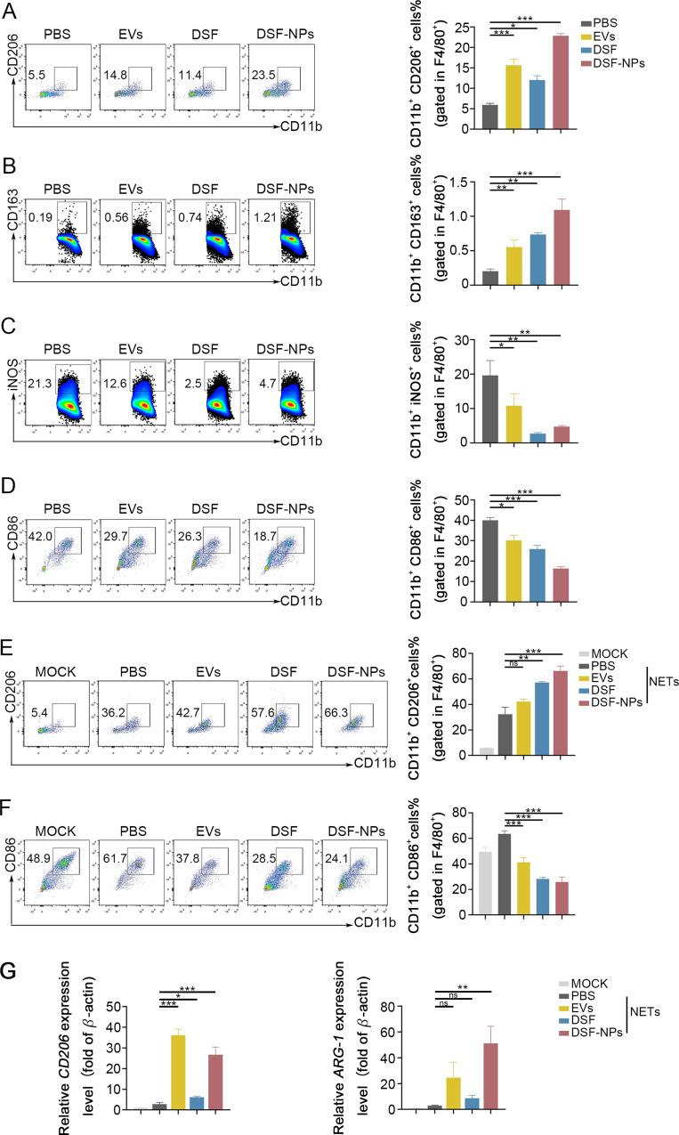 https://cdn.ncbi.nlm.nih.gov/pmc/blobs/6270/11600750/859c7f6df2d5/12967_2024_5875_Fig3_HTML.jpg