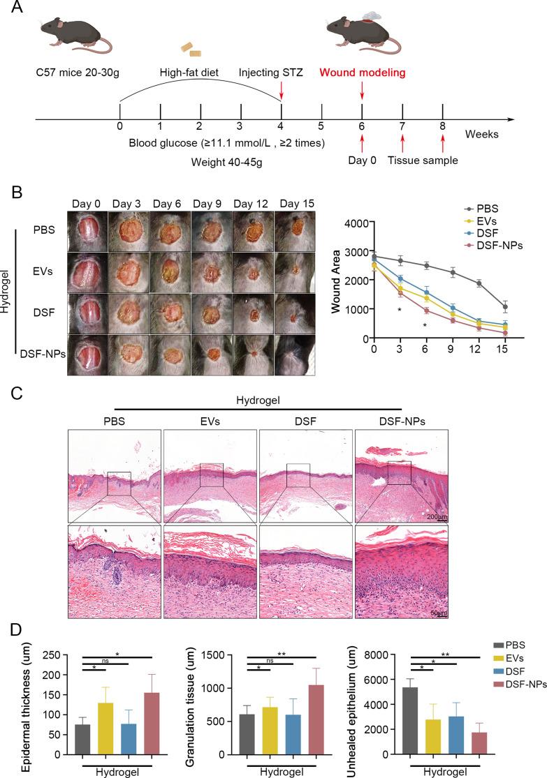 https://cdn.ncbi.nlm.nih.gov/pmc/blobs/6270/11600750/dd8e383fed51/12967_2024_5875_Fig5_HTML.jpg