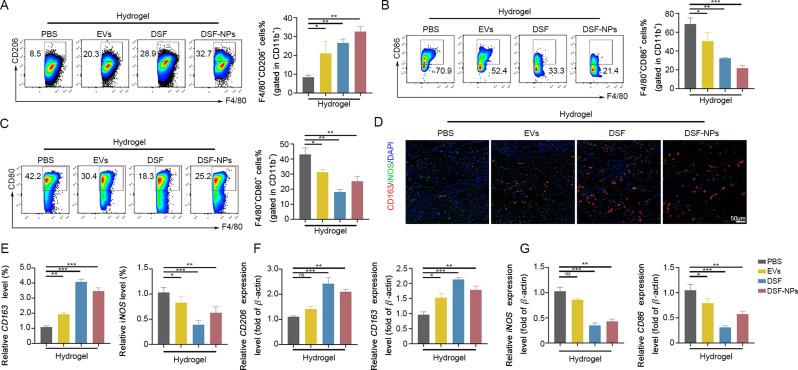 https://cdn.ncbi.nlm.nih.gov/pmc/blobs/6270/11600750/e5d40b7de7b8/12967_2024_5875_Fig7_HTML.jpg
