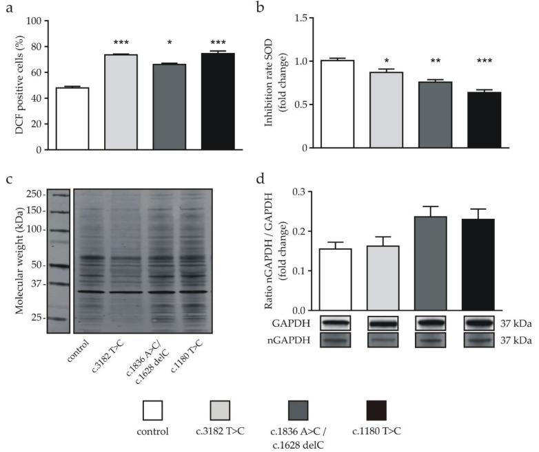 https://cdn.ncbi.nlm.nih.gov/pmc/blobs/6271/7593914/8f3f264452c5/ijms-21-07667-g001.jpg
