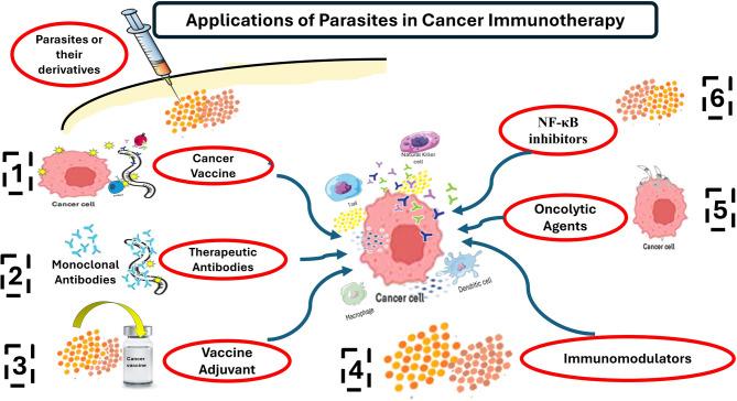 https://cdn.ncbi.nlm.nih.gov/pmc/blobs/6272/12309174/df2782bdecf8/13027_2025_679_Fig2_HTML.jpg