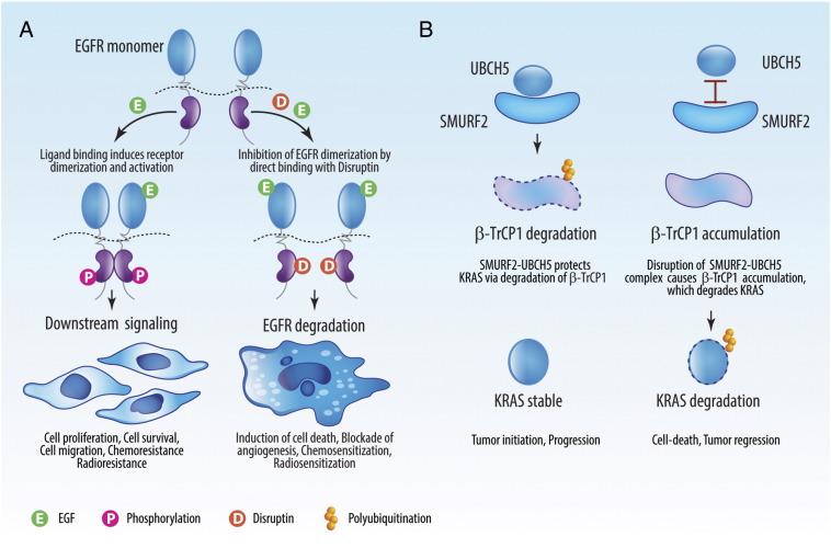 https://cdn.ncbi.nlm.nih.gov/pmc/blobs/6273/4611070/a406e5e17726/gr1.jpg