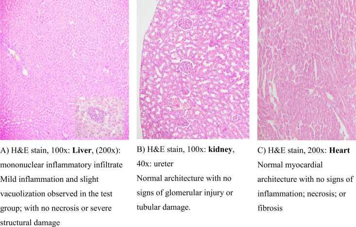 https://cdn.ncbi.nlm.nih.gov/pmc/blobs/6277/12345324/d11214de89f2/gr4.jpg