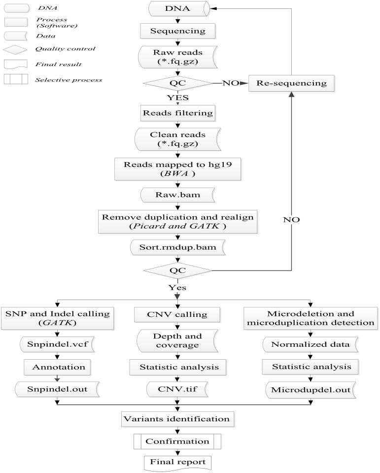 https://cdn.ncbi.nlm.nih.gov/pmc/blobs/6277/4537117/596101532394/pone.0133636.g001.jpg
