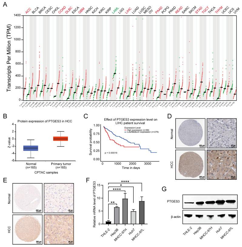 https://cdn.ncbi.nlm.nih.gov/pmc/blobs/6279/11670498/60c5bdd304d1/13062_2024_580_Fig1_HTML.jpg