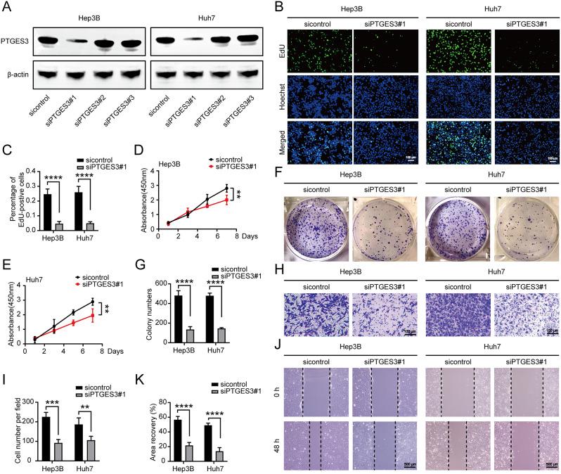 https://cdn.ncbi.nlm.nih.gov/pmc/blobs/6279/11670498/e3c207561a75/13062_2024_580_Fig2_HTML.jpg