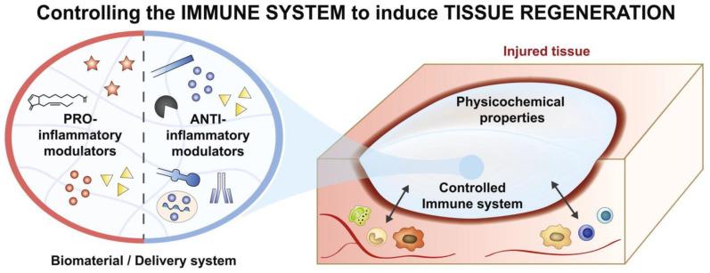 https://cdn.ncbi.nlm.nih.gov/pmc/blobs/627a/10741225/7936bad0b732/bioengineering-10-01411-g003.jpg