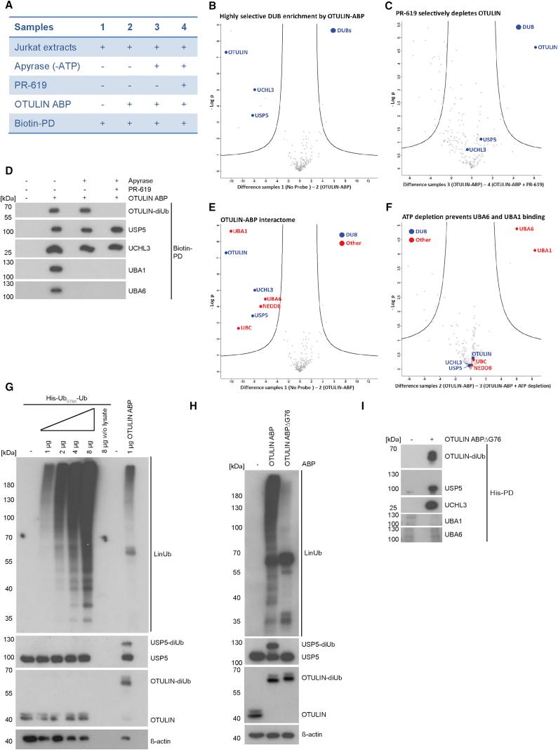 https://cdn.ncbi.nlm.nih.gov/pmc/blobs/627b/5658516/001c1e5e5216/gr6.jpg
