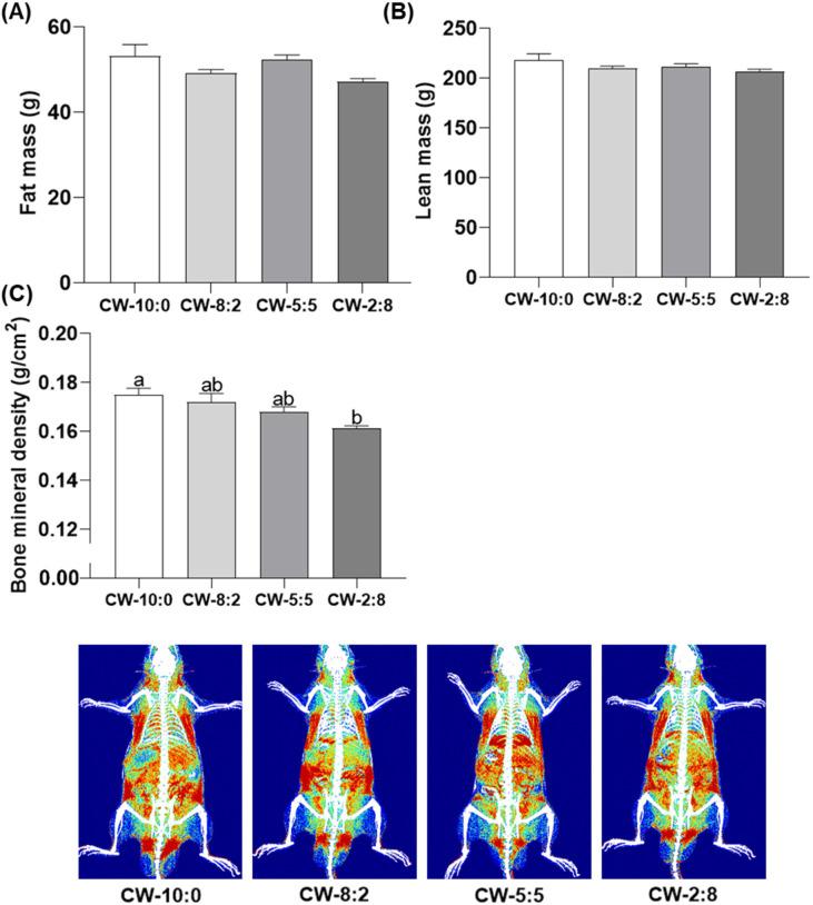 https://cdn.ncbi.nlm.nih.gov/pmc/blobs/627b/8460334/5942e3f24dd7/kosfa-41-5-855-g4.jpg