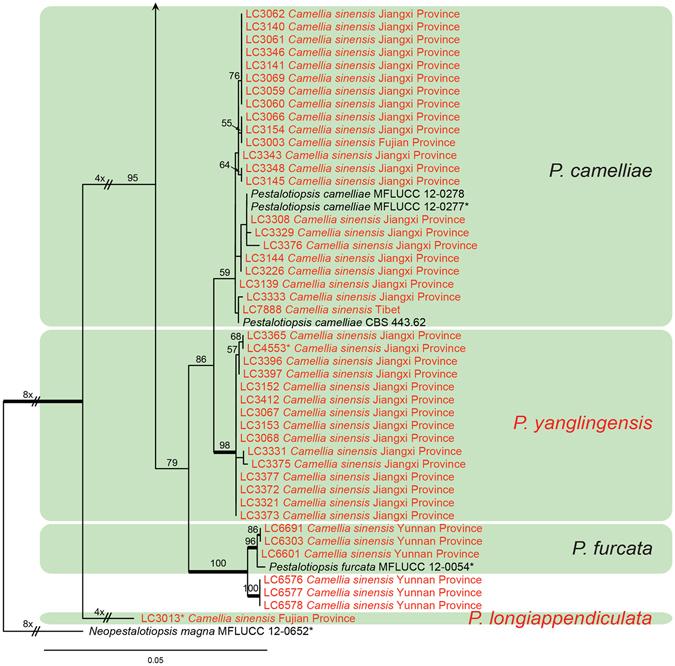 https://cdn.ncbi.nlm.nih.gov/pmc/blobs/627c/5429834/f725080f2eb9/41598_2017_972_Fig4_HTML.jpg