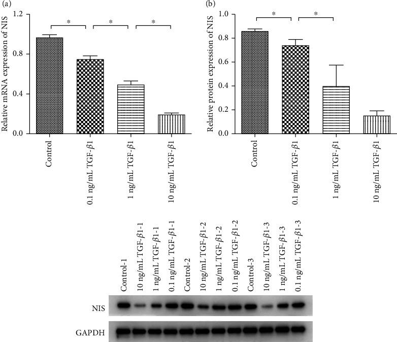 https://cdn.ncbi.nlm.nih.gov/pmc/blobs/627c/8616680/5c51388a1096/BMRI2021-6840642.001.jpg