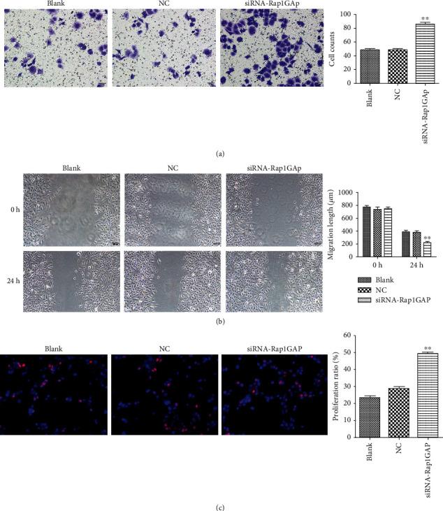 https://cdn.ncbi.nlm.nih.gov/pmc/blobs/627c/8616680/da18c5ca76e3/BMRI2021-6840642.005.jpg