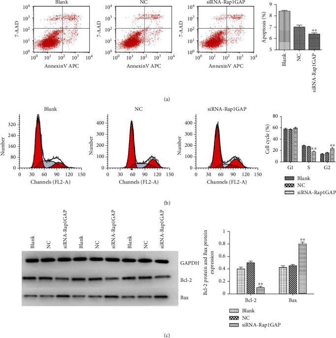 https://cdn.ncbi.nlm.nih.gov/pmc/blobs/627c/8616680/e4eb4b21b724/BMRI2021-6840642.004.jpg