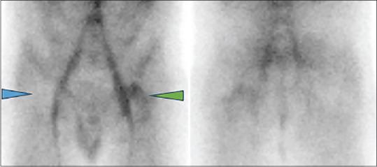 https://cdn.ncbi.nlm.nih.gov/pmc/blobs/627d/11404732/da6396add3c7/IJNM-39-207-g001.jpg
