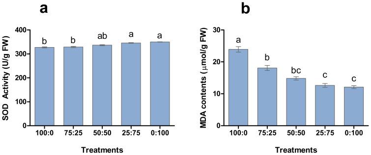 https://cdn.ncbi.nlm.nih.gov/pmc/blobs/627d/11536338/ccb385038d47/fpls-15-1438811-g006.jpg
