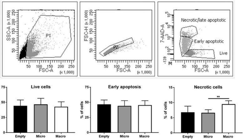 https://cdn.ncbi.nlm.nih.gov/pmc/blobs/6280/10881835/27e8d5451ec4/LSA-2023-02132_FigS3.jpg