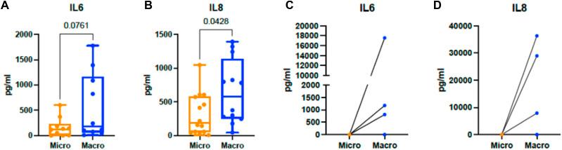 https://cdn.ncbi.nlm.nih.gov/pmc/blobs/6280/10881835/4a6a4bc4a746/LSA-2023-02132_FigS4.jpg