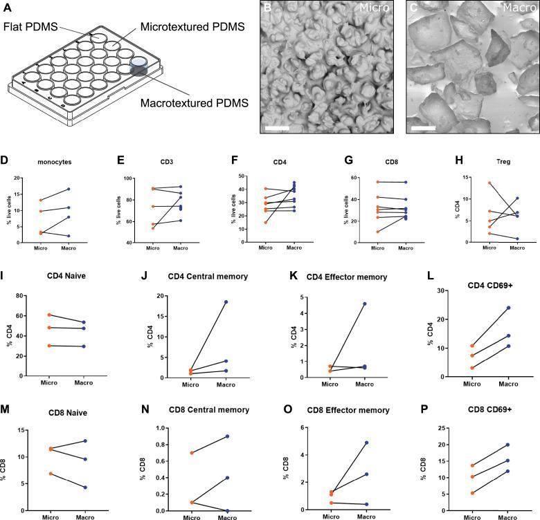 https://cdn.ncbi.nlm.nih.gov/pmc/blobs/6280/10881835/6bab0cde1e98/LSA-2023-02132_Fig2.jpg