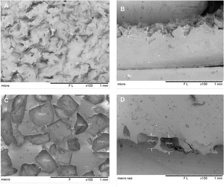 https://cdn.ncbi.nlm.nih.gov/pmc/blobs/6280/10881835/75520ed00686/LSA-2023-02132_FigS2.jpg