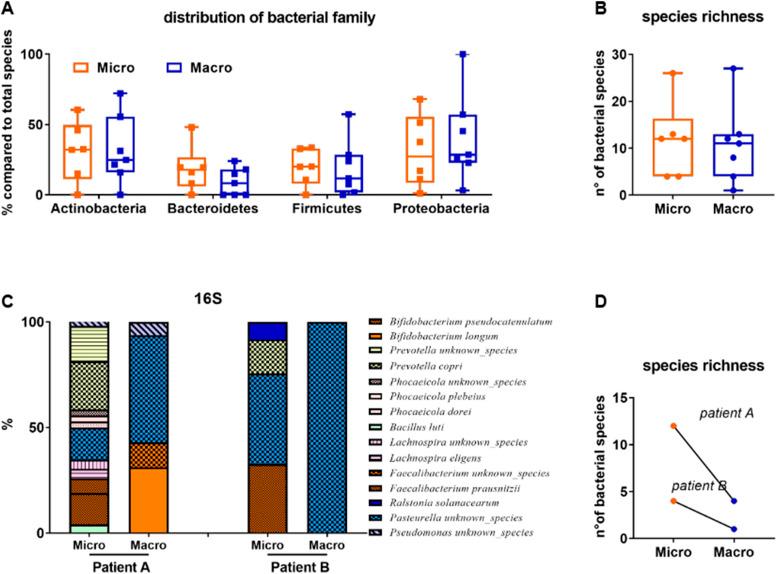 https://cdn.ncbi.nlm.nih.gov/pmc/blobs/6280/10881835/840251ecf875/LSA-2023-02132_FigS1.jpg