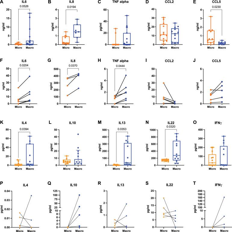 https://cdn.ncbi.nlm.nih.gov/pmc/blobs/6280/10881835/cdc2b7445cba/LSA-2023-02132_Fig3.jpg
