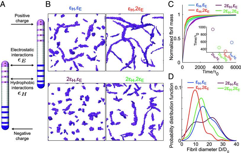 https://cdn.ncbi.nlm.nih.gov/pmc/blobs/6281/10945838/7af4e3fde4da/pnas.2313162121fig04.jpg