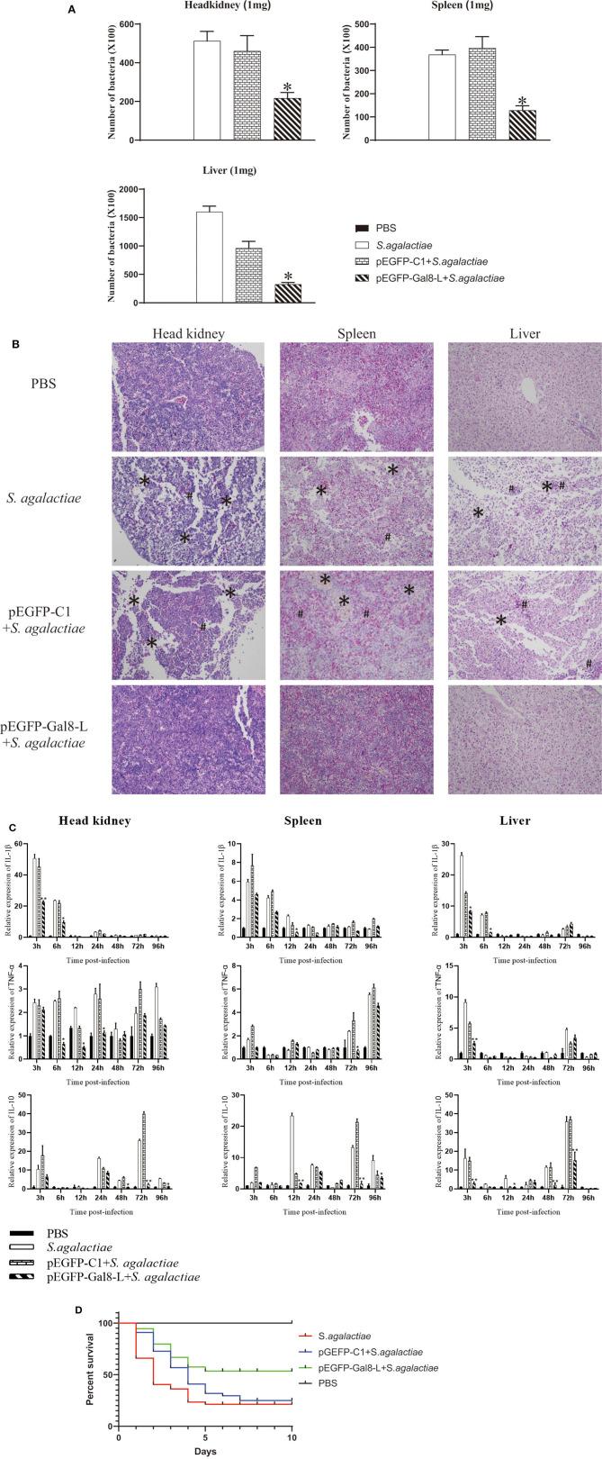 https://cdn.ncbi.nlm.nih.gov/pmc/blobs/6282/7333315/f0b4cd809940/fimmu-11-01140-g0006.jpg