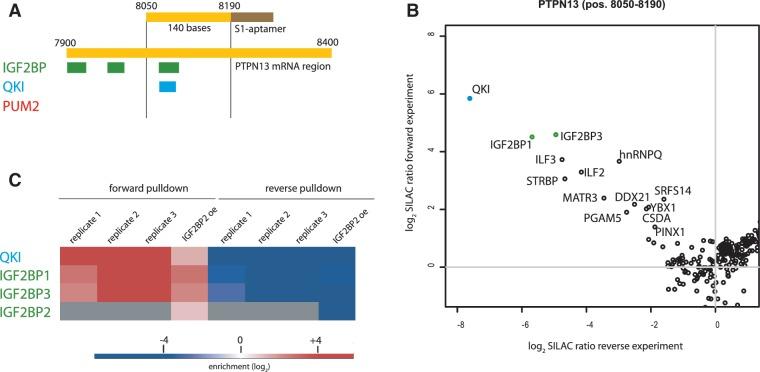 https://cdn.ncbi.nlm.nih.gov/pmc/blobs/6286/3479200/78a967e2c388/gks746f1p.jpg