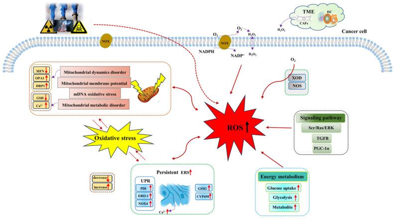 https://cdn.ncbi.nlm.nih.gov/pmc/blobs/6287/10383295/2d78a2659d7c/metabolites-13-00796-g001.jpg
