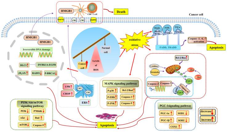 https://cdn.ncbi.nlm.nih.gov/pmc/blobs/6287/10383295/af8ea6745b60/metabolites-13-00796-g003.jpg