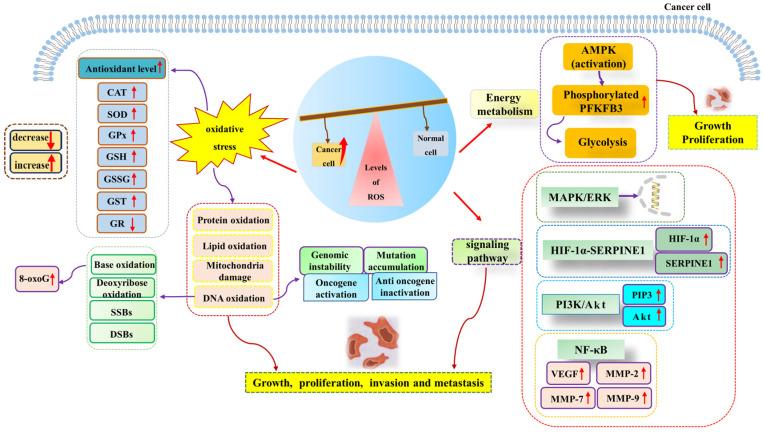 https://cdn.ncbi.nlm.nih.gov/pmc/blobs/6287/10383295/fe319ea6edee/metabolites-13-00796-g002.jpg