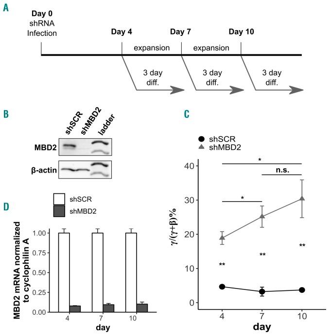 https://cdn.ncbi.nlm.nih.gov/pmc/blobs/6288/6959176/1febf4e628d5/1042361.fig2.jpg