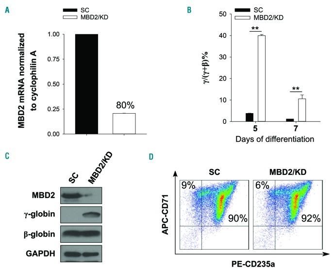 https://cdn.ncbi.nlm.nih.gov/pmc/blobs/6288/6959176/2a25ea15f2ae/1042361.fig6.jpg