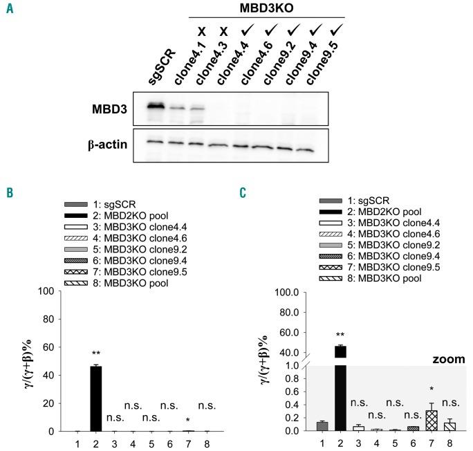 https://cdn.ncbi.nlm.nih.gov/pmc/blobs/6288/6959176/fe03655223e6/1042361.fig3.jpg