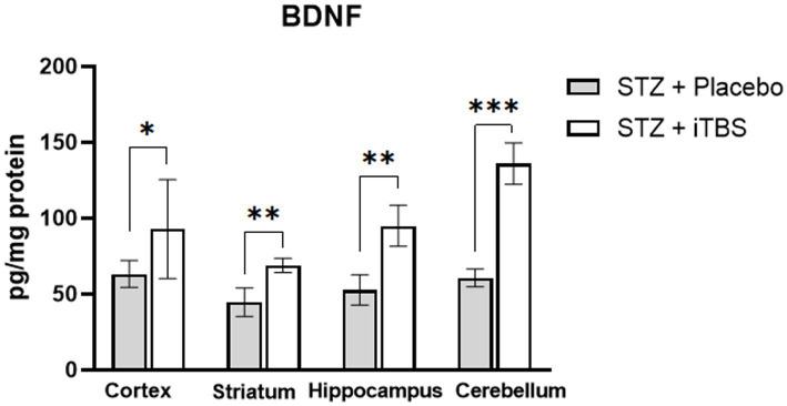 https://cdn.ncbi.nlm.nih.gov/pmc/blobs/6289/10233102/567dae1faa71/fnagi-15-1161678-g007.jpg