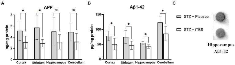 https://cdn.ncbi.nlm.nih.gov/pmc/blobs/6289/10233102/962a5ebc8f40/fnagi-15-1161678-g005.jpg