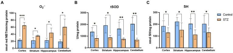 https://cdn.ncbi.nlm.nih.gov/pmc/blobs/6289/10233102/9f25c1d2ca20/fnagi-15-1161678-g002.jpg