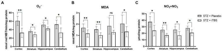 https://cdn.ncbi.nlm.nih.gov/pmc/blobs/6289/10233102/a64b46c4a822/fnagi-15-1161678-g003.jpg