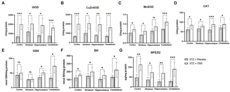 https://cdn.ncbi.nlm.nih.gov/pmc/blobs/6289/10233102/f59adbd50c81/fnagi-15-1161678-g006.jpg