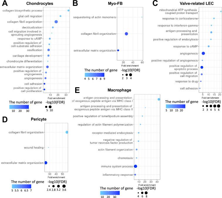 https://cdn.ncbi.nlm.nih.gov/pmc/blobs/6289/11164535/1cae85ee1ed5/elife-88942-fig1-figsupp3.jpg
