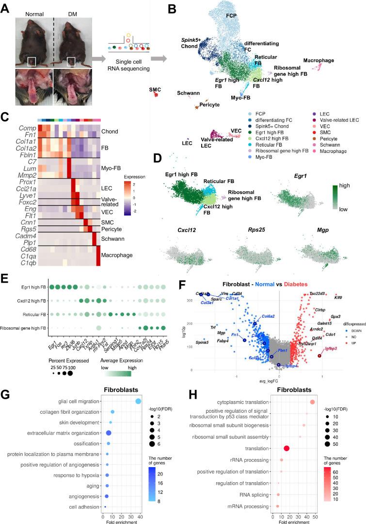 https://cdn.ncbi.nlm.nih.gov/pmc/blobs/6289/11164535/5069c280f362/elife-88942-fig1.jpg